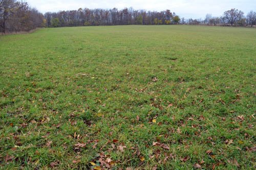 Property photo 49 - 80 Acres & Home - Property Offered in 4 Tracts from 2.3 to 30.0 Acres